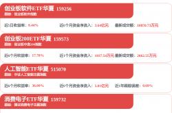 世界杯官方买球app -軟(ruǎn)通动力(301236)2025年度ESG报告解读