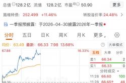世界杯买球app -大热赛道，继续大涨！688401，股价新高