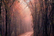 世界杯买球app下载 -汤尤杯：中国队双线告捷 石宇奇缺(quē)阵男(nán)队提前出线