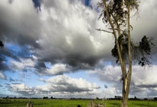 世界杯买球app下载 -汤尤杯：中国队双线告捷 石宇奇缺(quē)阵男(nán)队提前出线