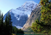 世界杯买球app -特朗(lǎng)普(pǔ)最(zuì)好也有钢铁般的意志