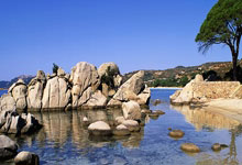 FIFA买球app -耐斯特机械閥(fá)業(yè)取得(dé)防卡死(sǐ)高(gāo)压球閥(fá)专利，解决球芯无法自(zì)由鏇(xuán)转问题